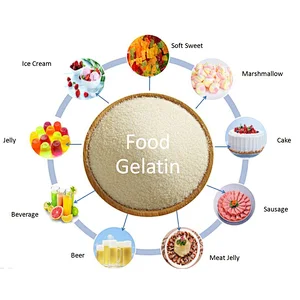 Edible Gelatin Sweets Ice Cream 180-240 Bloom Kosher Halal Beef Food Grade Gelatin